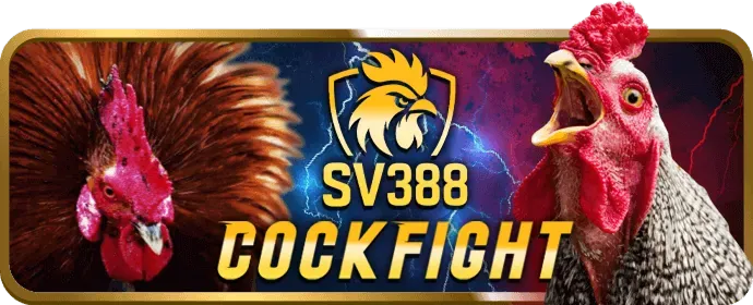 Mẹo cá cược bóng đá hiệu quả từ 780bet