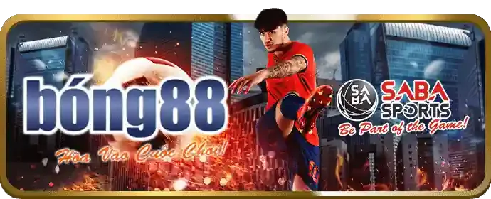Trải nghiệm casino trực tiếp
